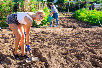Young woman working at small home farm, digging soil in vegetable garden