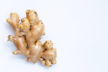 Ginger on a white background.