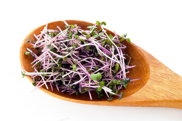 Organic red cabbage sprouts on white background.