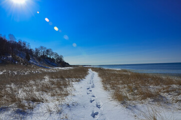 winter landscape with snow