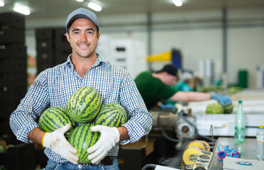 Male vegetable factory worker sorting ripe watermelons on a conveyor