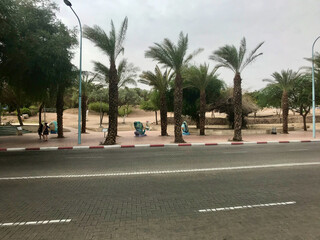 Eilat, Israel, November 2019 - A street lined with palm trees
