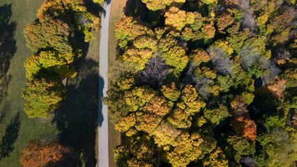 Aerial overhead view of a forest path