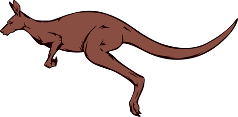 Side View of Jumping Kangaroo 