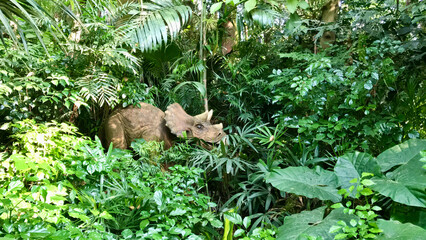Guangzhou, China, November 2016 - A bear that is standing on a lush green forest