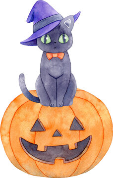 recommend clip art: ジャックオランタンの上に座る魔女の帽子をかぶった黒猫のイラスト