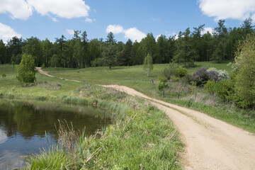 Fototapeta na wymiar Spring, bright landscape. The dirt road goes around the picturesque lake and goes into the green forest. Sunny and blue sky with white clouds. The trees have bright green foliage.