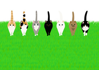 草原を前進する七匹の子猫　背景透明
