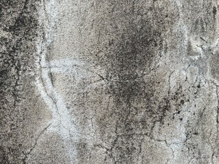 wall