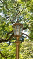 Golden street light in a park in the Retiro district, Buenos Aires, Argentina