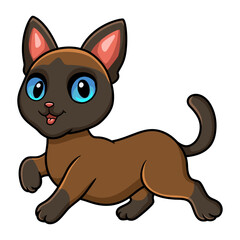 Cute tonkinese cat cartoon walking