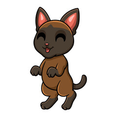 Cute tonkinese cat cartoon standing
