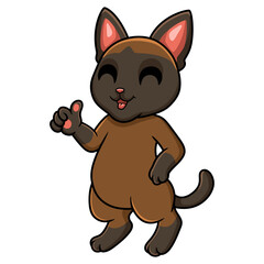 Obraz na płótnie Canvas Cute tonkinese cat cartoon giving thumb up