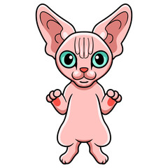 Cute sphynx cat cartoon standing