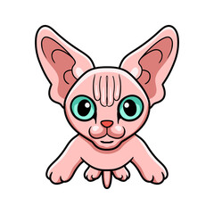 Cute sphynx cat cartoon posing