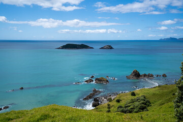 Fototapeta premium Ocean Beach Walk New Zealand