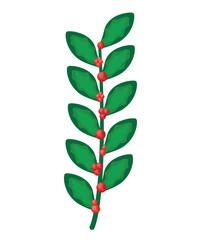 cute mistletoe branch