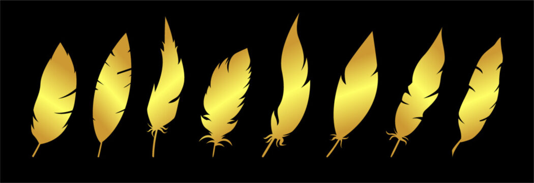 Golden Feather Vector Collection