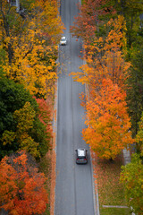Road and Fall Foliage in Vermont