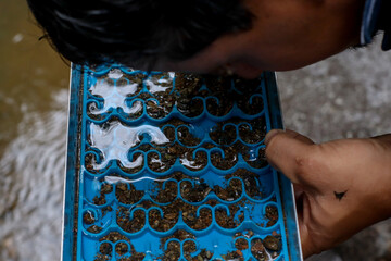 Lavado de oro y minería de gemas. Clasifica la tierra, los guijarros y la tierra para prepararlos para buscar oro y piedras preciosas. Diversión y aventura, actividad recreativa.