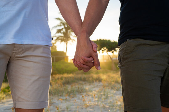 gay couple holding hands at sunset on the beach