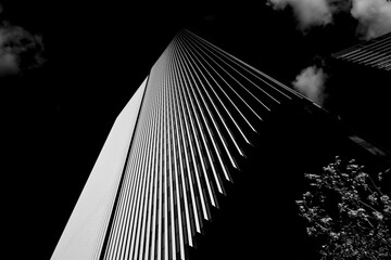 Infrared Tokyo