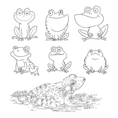 Set of various cartoon frog hand drawing character vector illustration.