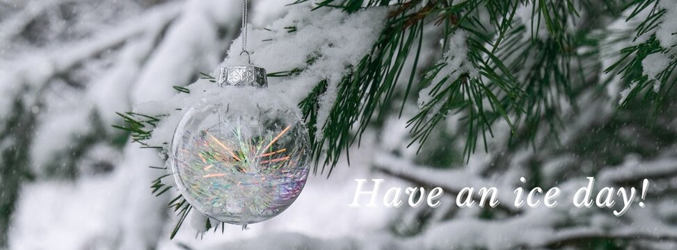 Have an ice day Inspiration joke quote phrase Transparent trendy glass Christmas ball on snowy branch firs in winter forest. Winter holiday background. Happy new year Merry Christmas greeting card