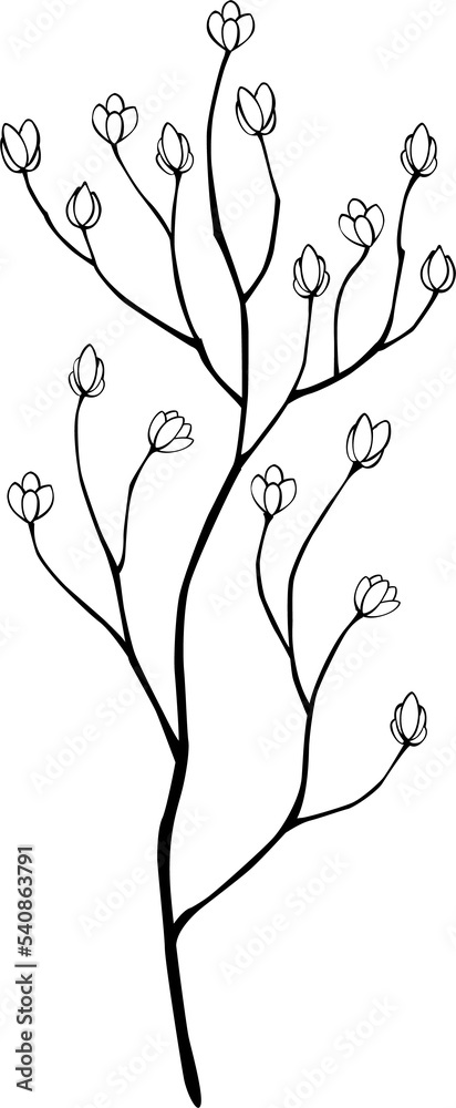 Canvas Prints contour twigs for bouquets