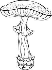 Naklejka premium Outline fly agaric