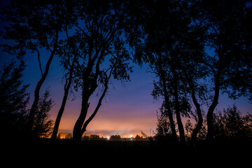 silhouette of night savannah trees and african village on the horizon