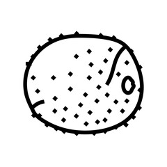 kiwi fresh line icon vector. kiwi fresh sign. isolated contour symbol black illustration