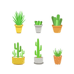 Cactus potted plant illustration