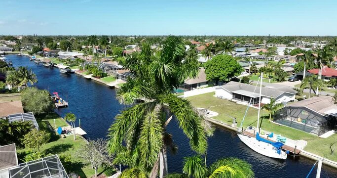 Beautiful drone shot of palm trees on sunny day by river in Florida
