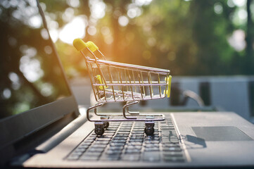 online shopping is a form of electronic commerce that allows consumers to directly buy goods from a...