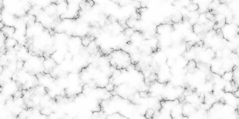 Abstract background with Seamless Texture Background, Black and white Marbling surface, with geometric line Illustration design for wallpaper or skin wall tile luxurious material interior or exterior