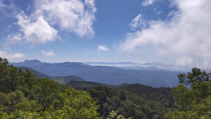 Naklejka premium 栂池自然園でトレッキングした時の風景