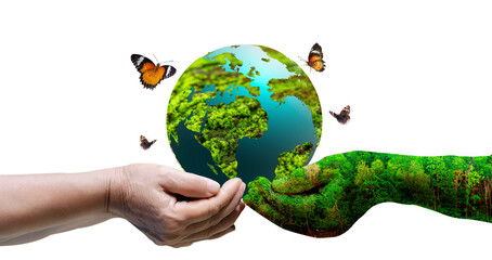 human hand holding a globe Isolate on transparent background PNG file