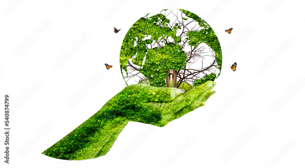 Wall mural globe in hand isolate on transparent background png file