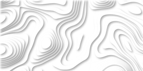 Abstract paper cut art background design for website template . Paper cut vector art background banner texture website template, 3D papercut layers, Abstract paper cut white background in illustration