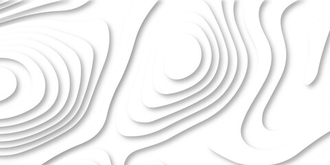 Abstract paper cut art background design for website template . Paper cut vector art background banner texture website template, 3D papercut layers, Abstract paper cut white background in illustration