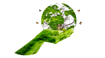 globe in hand Isolate on transparent background PNG file