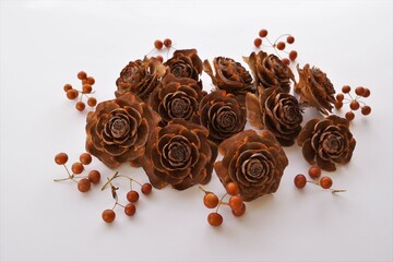 ヒマラヤ杉の実、シダーローズと山帰来の実