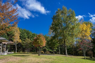 Fototapeta na wymiar 長野県・茅野市 秋の永明寺山公園の風景