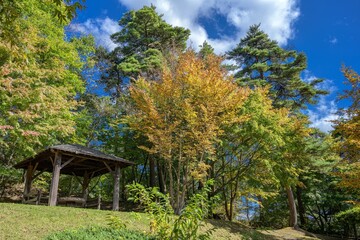 長野県・茅野市 秋の永明寺山公園の風景