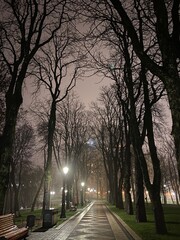 night city landscape