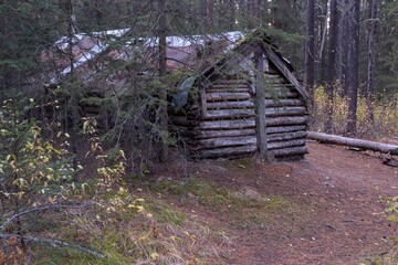 The Hermit of Inglismaldie, Secret Old Heritage Wood Log Cabin Ruin in Wilderness Forest near Johnson Lake, Banff National Park Alberta Canada