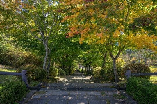 長野県・茅野市 秋の永明寺山公園の風景