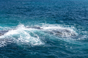 Fototapeta premium rocks and sea