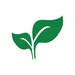 leaf icon